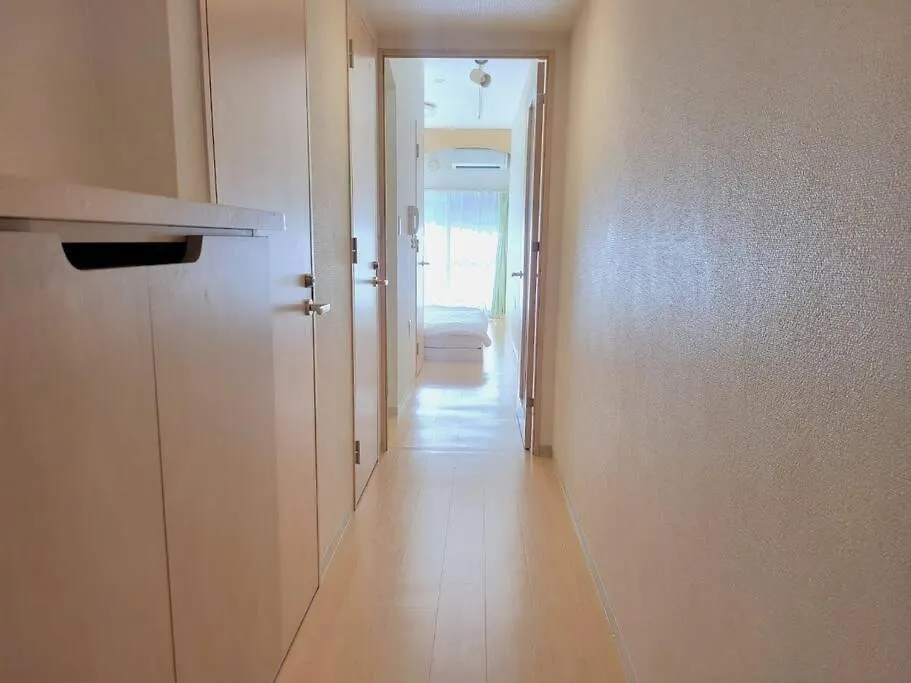 Dotonbori, Nipponbashi, Nagahoribashi Station 5Minutes On Foot Double Bed Se3 Apartment Osaka Japan